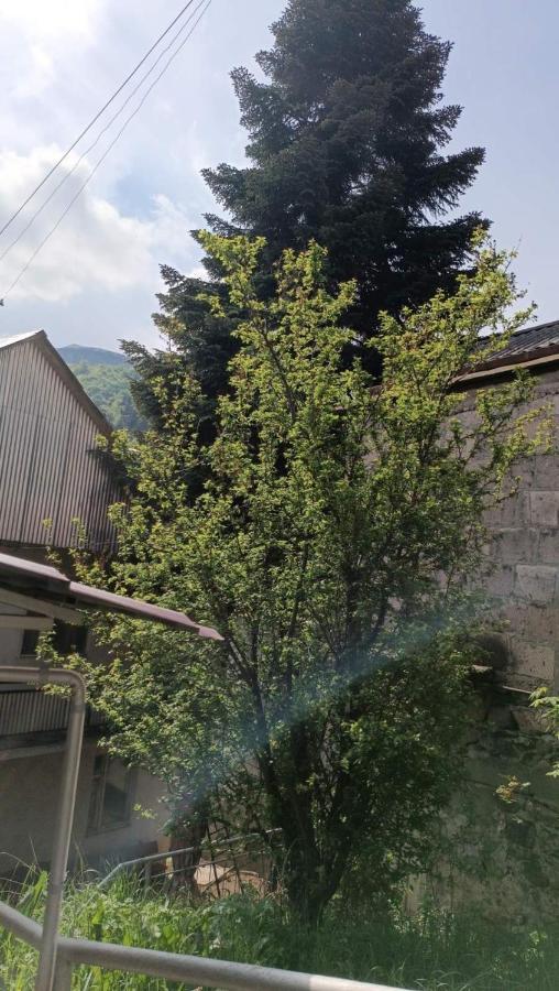 Arman Guest House Dilijan Esterno foto