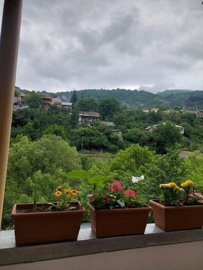 Arman Guest House Dilijan Esterno foto